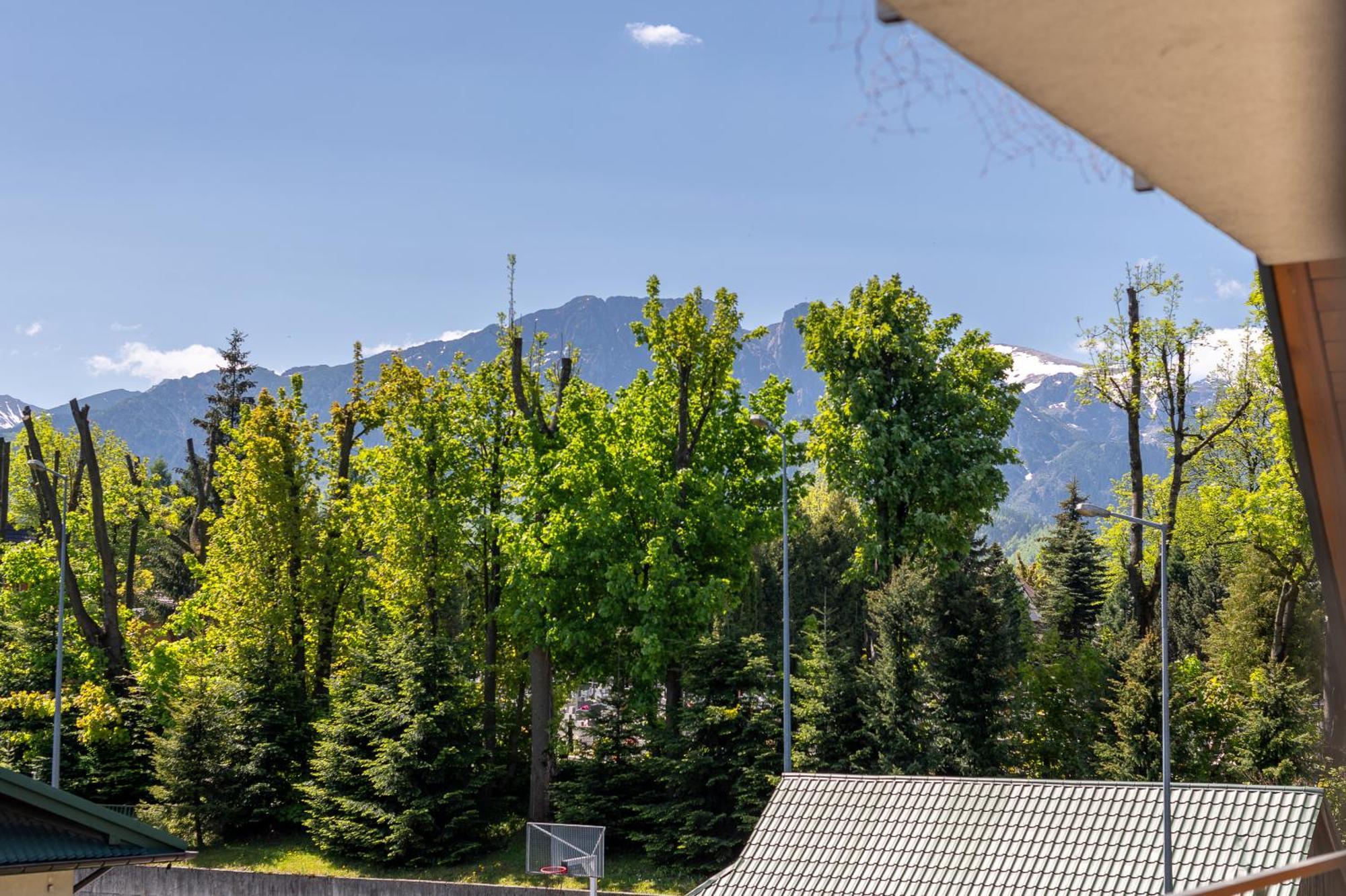Prestige Apartamenty Bystra Woda Centrum Zakopane Rum bild